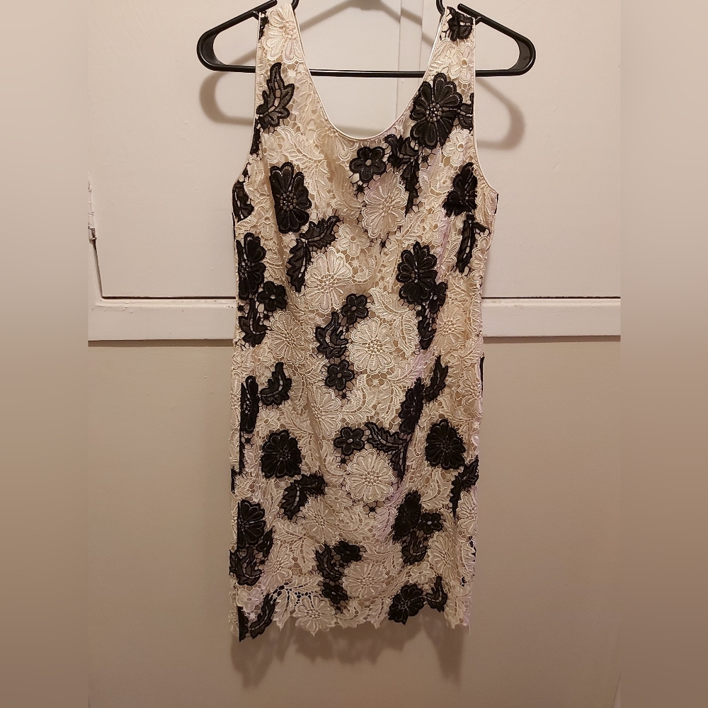 Elegant Black and Cream Floral Lace Dress